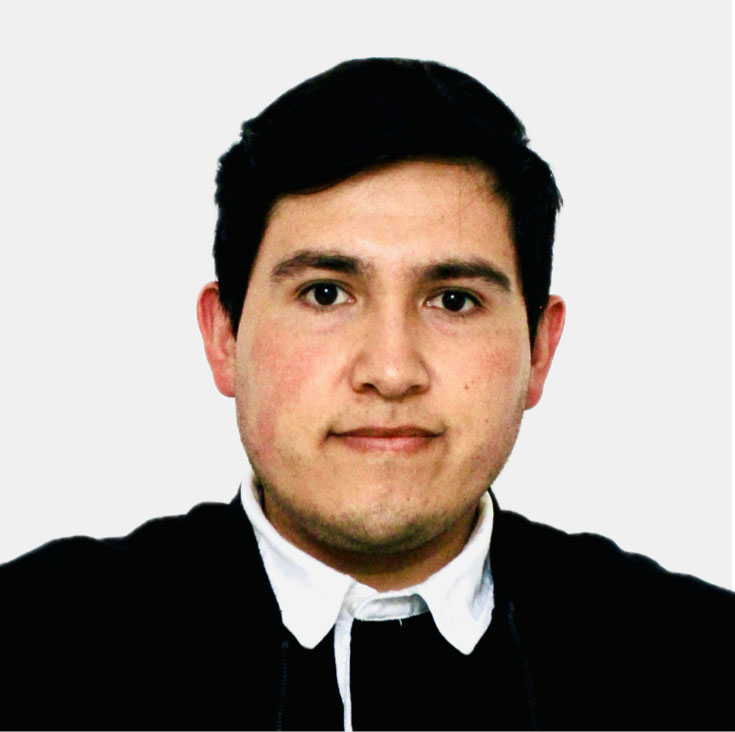 Pedro M. Ibarra